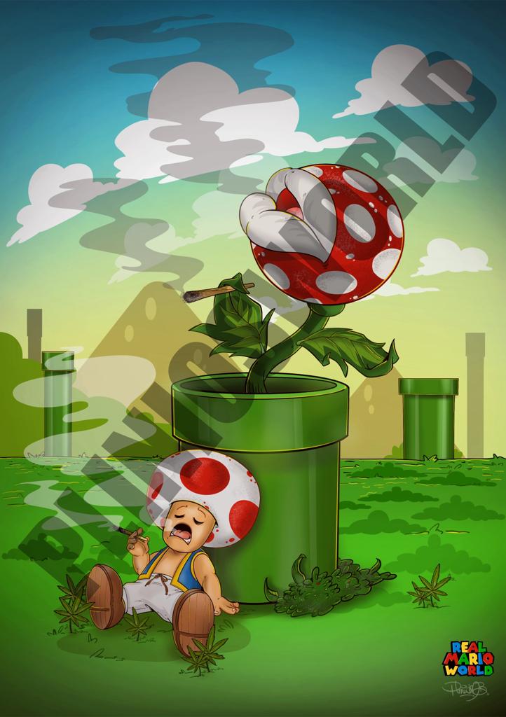 Real Mario World - Spliffin'
